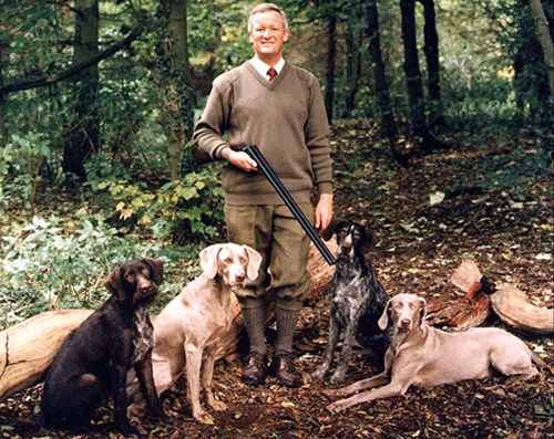 David In A Forest, Surrounded By His Gundogs